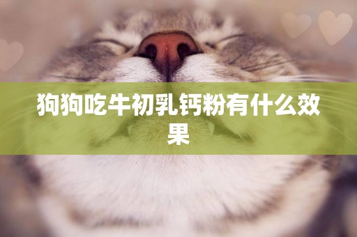 狗狗吃牛初乳鈣粉有什么效果