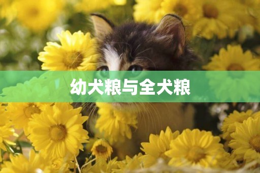 幼犬糧與全犬糧