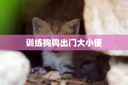 訓練狗狗出門大小便