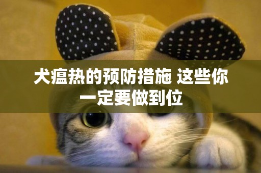 犬瘟熱的預防措施 這些你一定要做到位