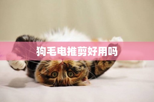 狗毛電推剪好用嗎