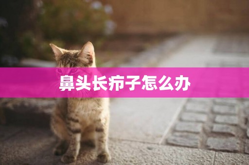 鼻頭長癤子怎么辦