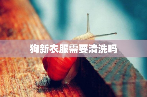 狗新衣服需要清洗嗎