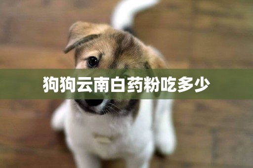 狗狗云南白藥粉吃多少