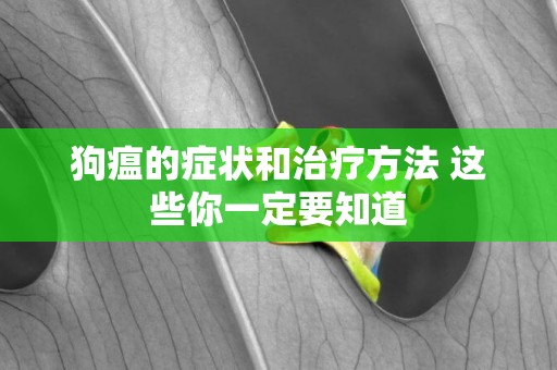 狗瘟的癥狀和治療方法 這些你一定要知道