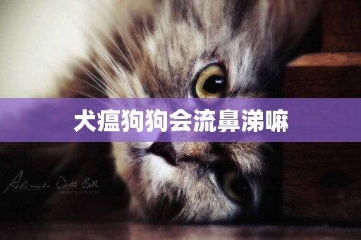 犬瘟狗狗會流鼻涕嘛