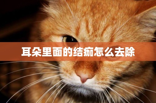 耳朵里面的結痂怎么去除