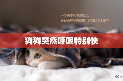 狗狗突然呼吸特別快