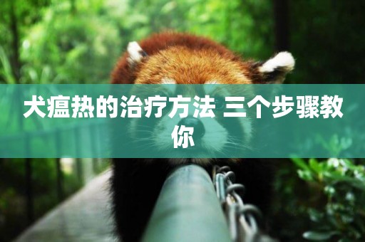 犬瘟熱的治療方法 三個步驟教你
