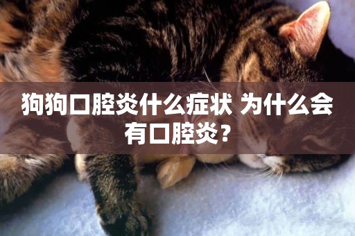 狗狗口腔炎什么癥狀 為什么會有口腔炎？