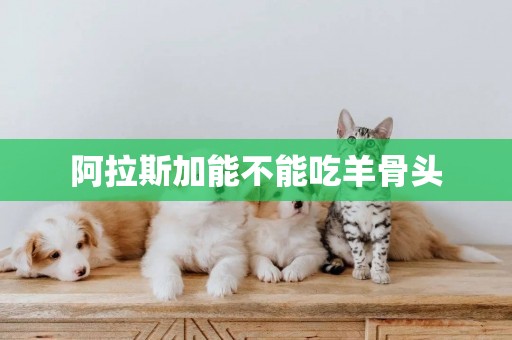阿拉斯加能不能吃羊骨頭