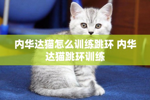 內華達貓怎么訓練跳環 內華達貓跳環訓練