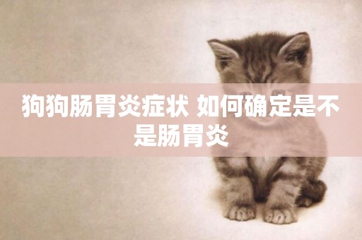狗狗腸胃炎癥狀 如何確定是不是腸胃炎