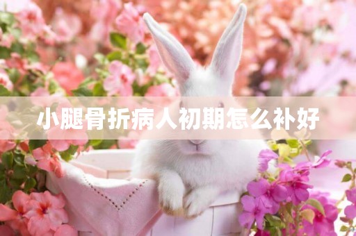 小腿骨折病人初期怎么補好
