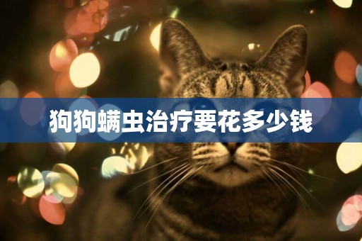 狗狗螨蟲治療要花多少錢