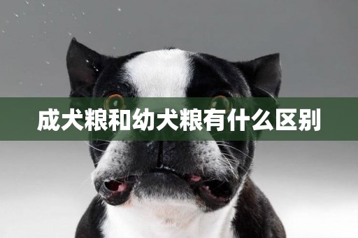 成犬糧和幼犬糧有什么區別