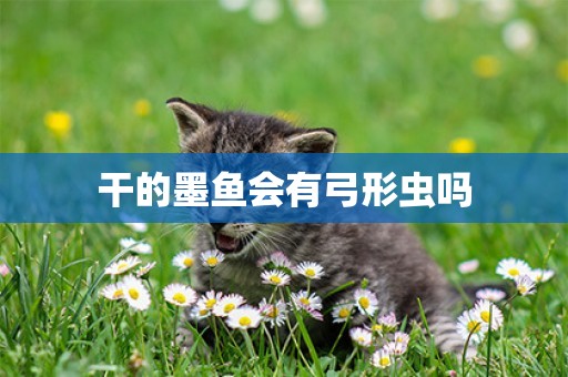 干的墨魚會有弓形蟲嗎