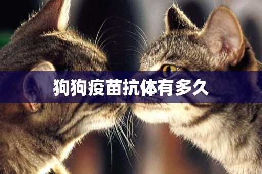 狗狗疫苗抗體有多久