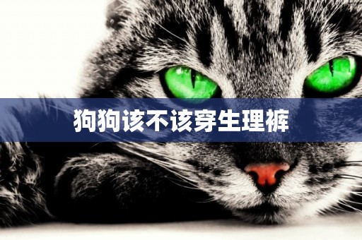 狗狗該不該穿生理褲