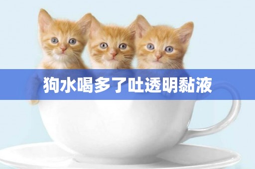 狗水喝多了吐透明黏液
