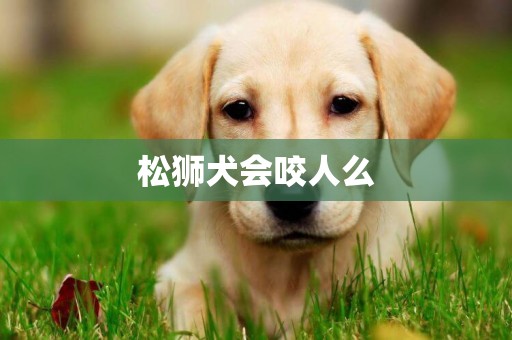 松獅犬會咬人么