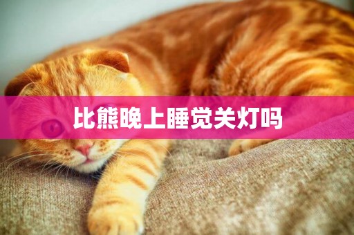 比熊晚上睡覺關燈嗎