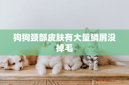 狗狗頸部皮膚有大量鱗屑沒掉毛
