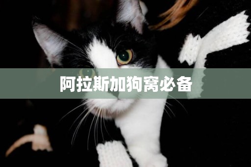 阿拉斯加狗窩必備