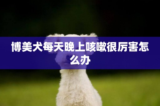 博美犬每天晚上咳嗽很厲害怎么辦
