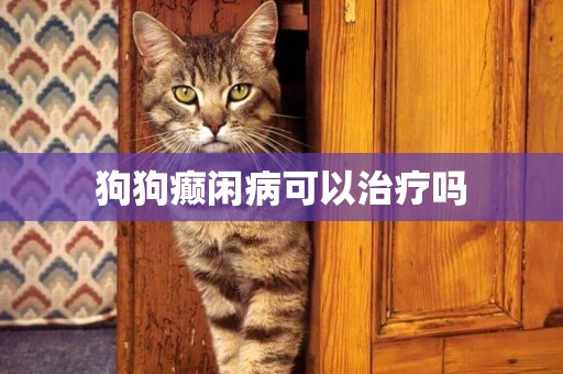 狗狗癲閑病可以治療嗎