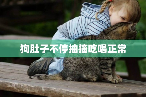 狗肚子不停抽搐吃喝正常