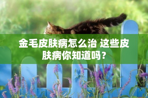 金毛皮膚病怎么治 這些皮膚病你知道嗎？