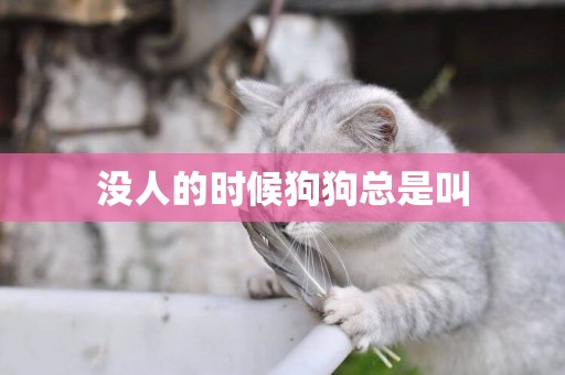 沒人的時候狗狗總是叫