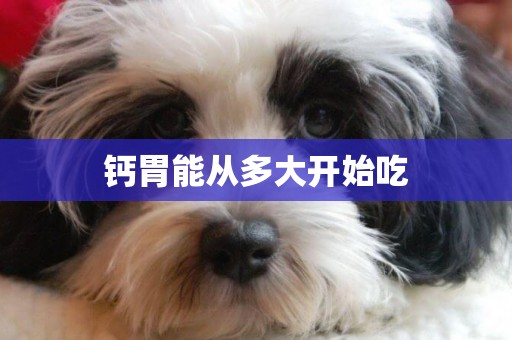 鈣胃能從多大開始吃