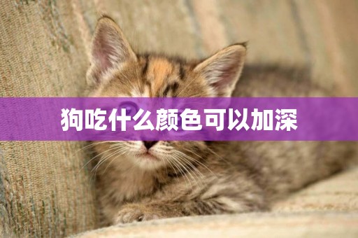 狗吃什么顏色可以加深