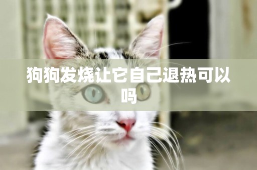 狗狗發燒讓它自己退熱可以嗎