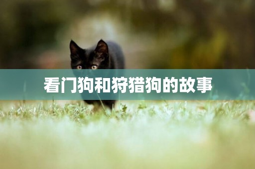 看門狗和狩獵狗的故事