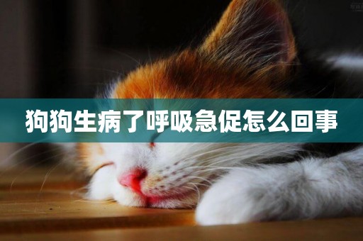 狗狗生病了呼吸急促怎么回事
