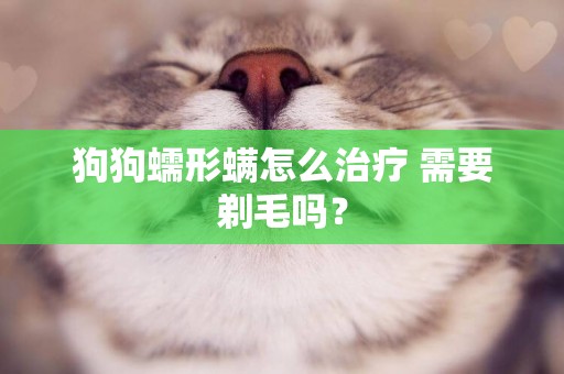狗狗蠕形螨怎么治療 需要剃毛嗎？