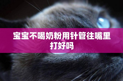 寶寶不喝奶粉用針管往嘴里打好嗎