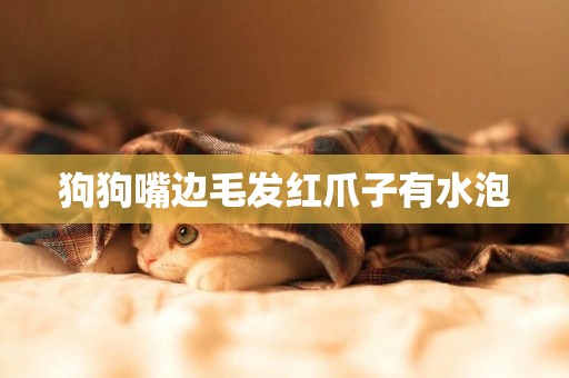 狗狗嘴邊毛發紅爪子有水泡