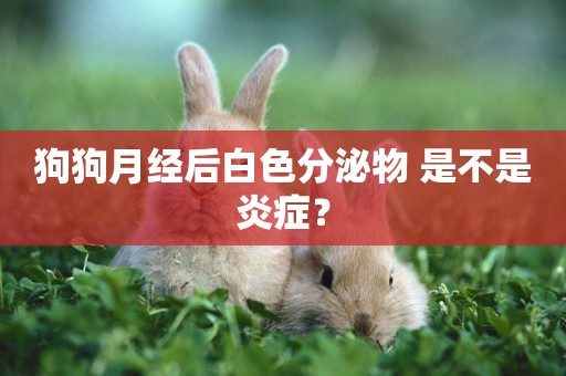 狗狗月經后白色分泌物 是不是炎癥？
