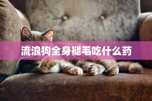 流浪狗全身褪毛吃什么藥
