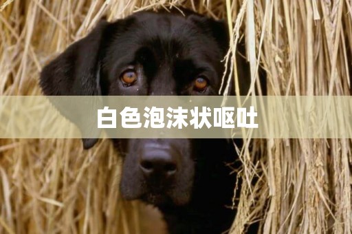 白色泡沫狀嘔吐