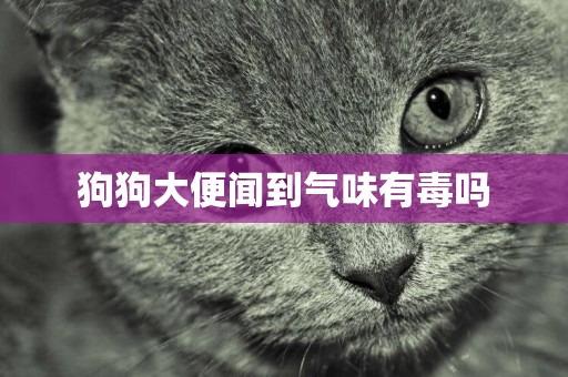 狗狗大便聞到氣味有毒嗎