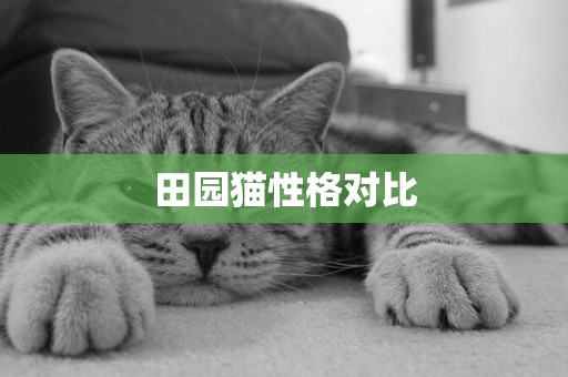 田園貓性格對比