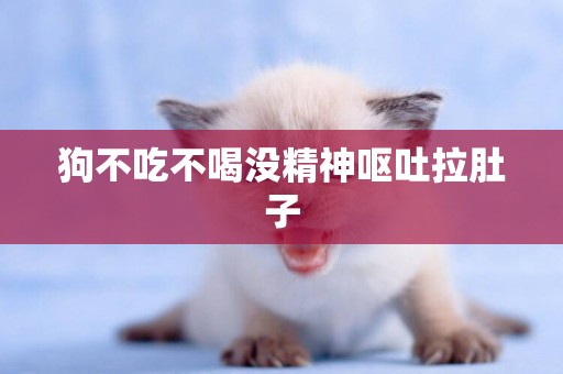 狗不吃不喝沒精神嘔吐拉肚子