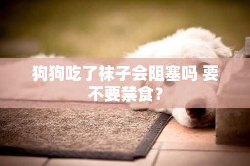 狗狗吃了襪子會阻塞嗎 要不要禁食? 狗狗吃了襪子會阻塞嗎 要不要禁食?