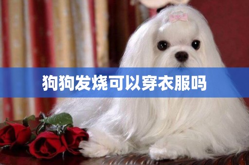狗狗發燒可以穿衣服嗎