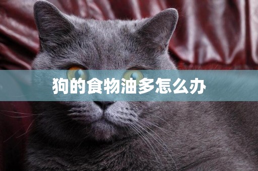 狗的食物油多怎么辦